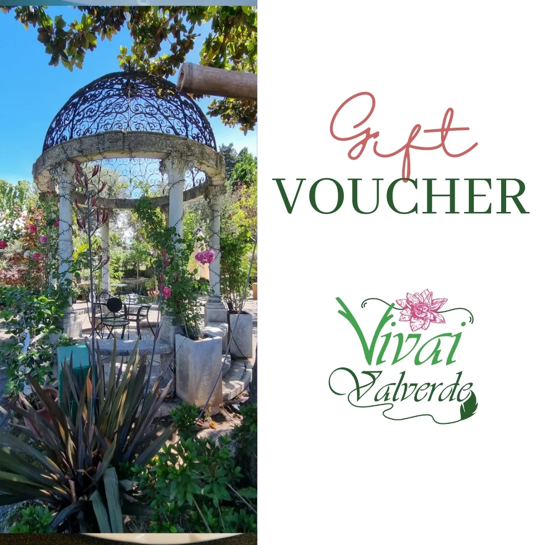 Voucher Vivai ValVerde